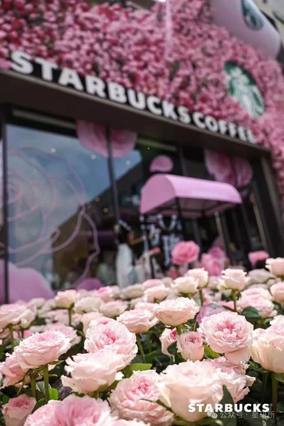 image-20260318172916-4